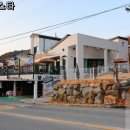 멍스타애견 이미지