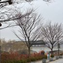소모(SOMO)헤어 | 전주 숨 게스트하우스 분위기 좋은 갬성숙소 솔직후기