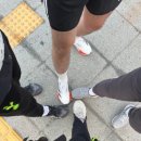 삼다메디 | cep 러닝 양말와 함께 추천하는 컴프레션삭스