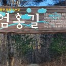 쏘나브이피씨코리아(주)우정지점 | 강원도 발왕산 등산 엄홍길 코스로 갔다가 케이블카 미운영으로 고생한 후기. 하산길 주의할 점