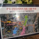 음봉중학교 옆 도로 이미지