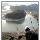 무궁화비료 이미지