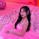 안지영 카카오 검색결과