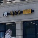 멍장원 이미지