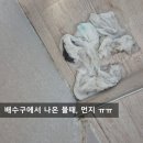 능조산업안전용품 | [출산준비] 아기용품 다이소살균소독티슈 성분 위험해 -장난감소독방법
