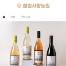 티앤티스토어 네이버블로그