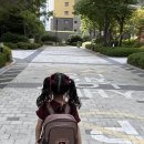 인천유치원 | 인천 세라유치원 재원 후기｜특별활동 원내 프로그램 장단점