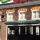 배꼽하우스 이미지