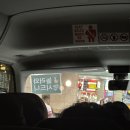 놀러와 | 마이리얼트립 놀러와시드니 내돈내산 후기 - 블루마운틴 투어 페더데일 동물원 오픈런 시닉월드