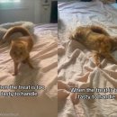 심쿵간식 이미지