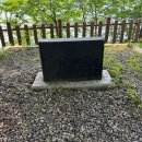 김유정 행장비 이미지