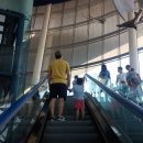 다루아쿠아 이미지