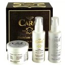 스폰지캐럿 이미지