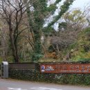 서귀포자연휴양림3 이미지