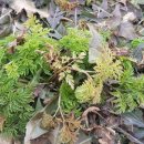 전호농장 이미지