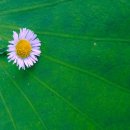 황제세탁소 이미지