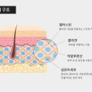 피부탱탱