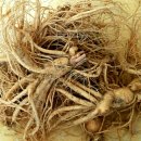 금산재래시장1 이미지