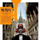 빅픽처 이미지