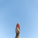 공룡발자국공원 화장실 이미지