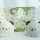 스튜디오몽실