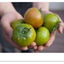 상경농장 이미지