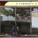 하빈초등 이미지