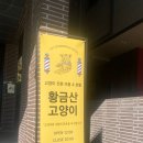 황금산 고양이 이미지