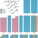 효천작은도서관 이미지