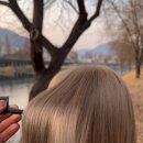 헤어아뜰리에 이미지