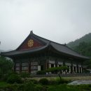 용성장식