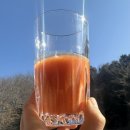 [토망고 주스]토마토의 효능 효과 / 스테비아 토마토 간편하게 섭취하는 방법