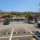 더포레스트 이미지