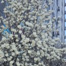 유승할인마트 이미지