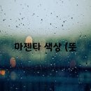 마젠타 뷰티
