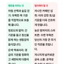 묘한고양이 | [내돈내산] 묘한점집 후기 | 다섯 고양이가 들여다본 당신의 운명 AI 사주
