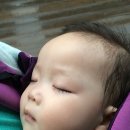 은채상회 이미지