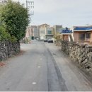 신생훼밀리 이미지