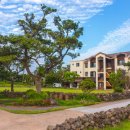 올레리조트 이미지