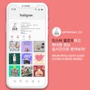 주식회사 펫더맨 이미지