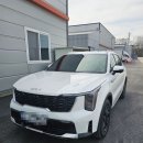 노블레스짐 | 2026 쏘렌토 하이브리드 노블레스 내 첫차 후기 (옵션 보험 실 구매 가격 5200만)