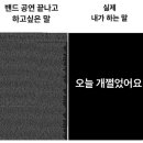 더 프레젠트 이미지