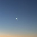 머지커피
