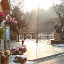 인간과허브 이미지