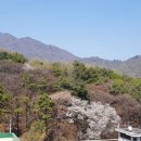실버빌 이미지