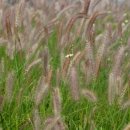 오늘은좋은날 이미지