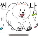 펫츠랑 이미지