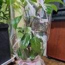 김태영사무소 | 김태영님의 중산지구 임장후기