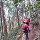 장복농장 이미지