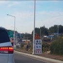 돌산봉덕초등학교 이미지